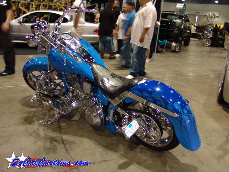 DSC04237
