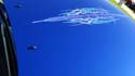 DSC08084