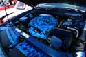 IMG_8955