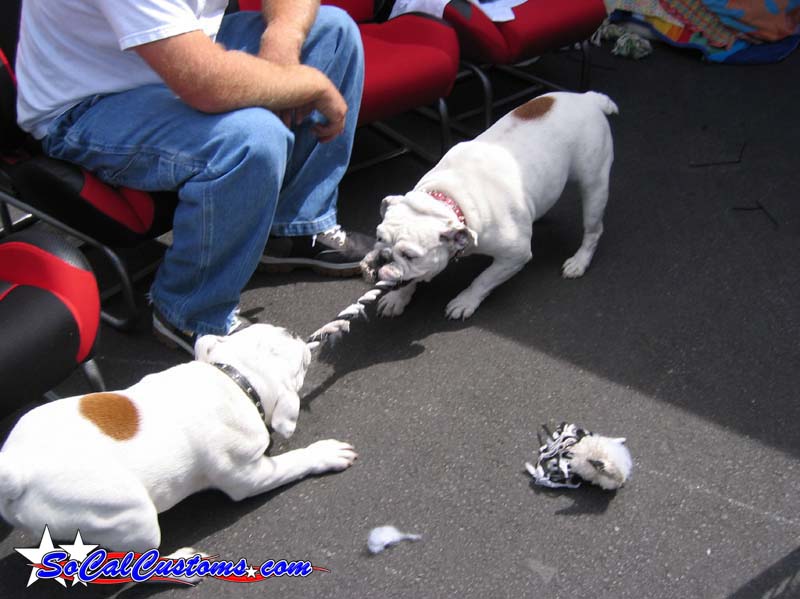 A Day With Severed Ties Las Vegas 2004 025